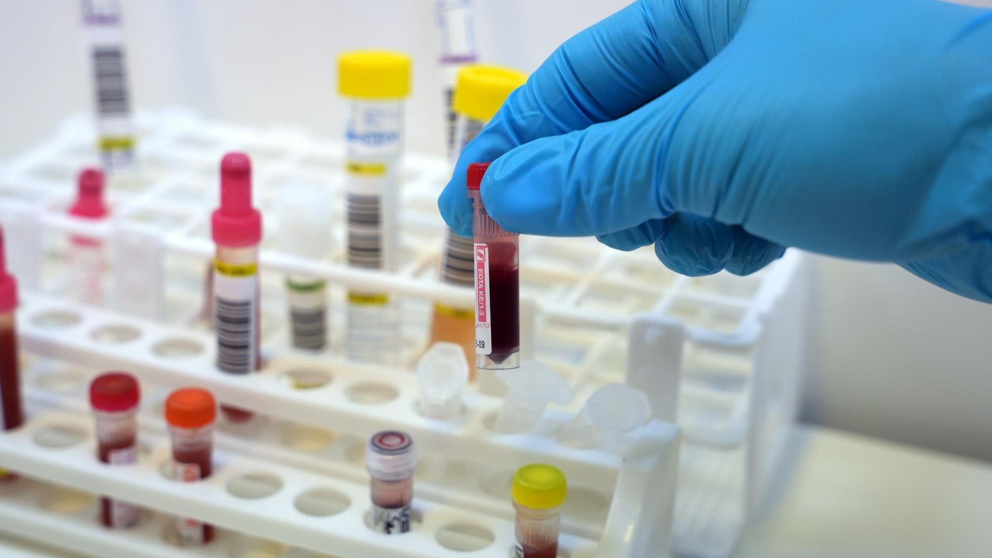 Analyses Vétérinaires